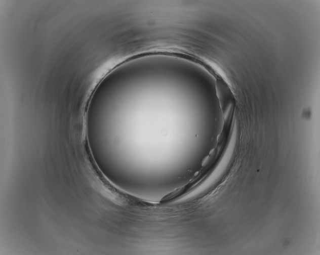 X0000090881371200707271302