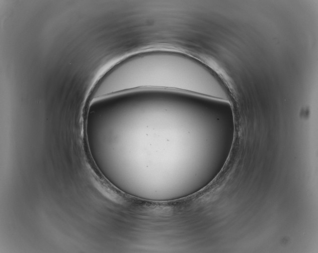 X0000090881372200707271302