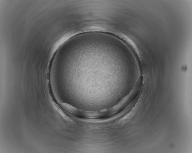X0000090881373200707271302