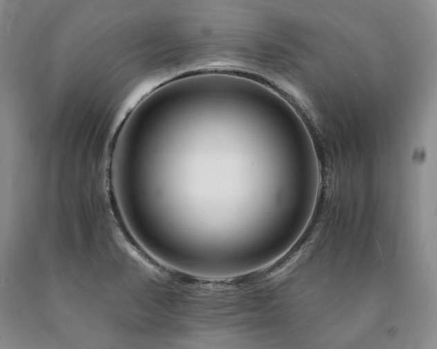 X0000090881374200707271302