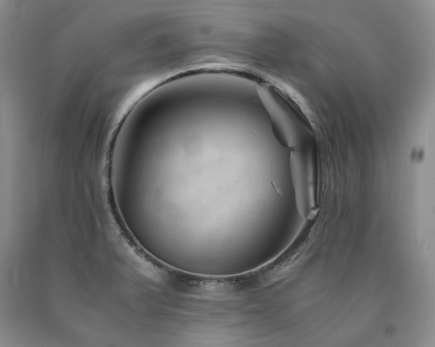X0000090881375200707271302
