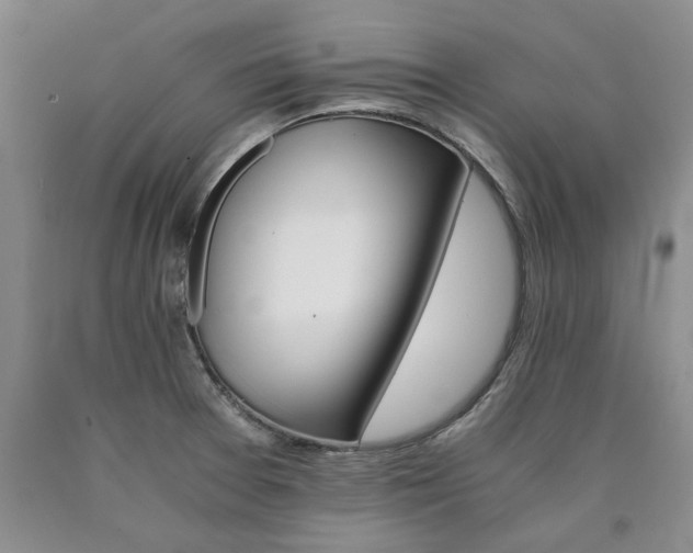 X0000090881377200707271302