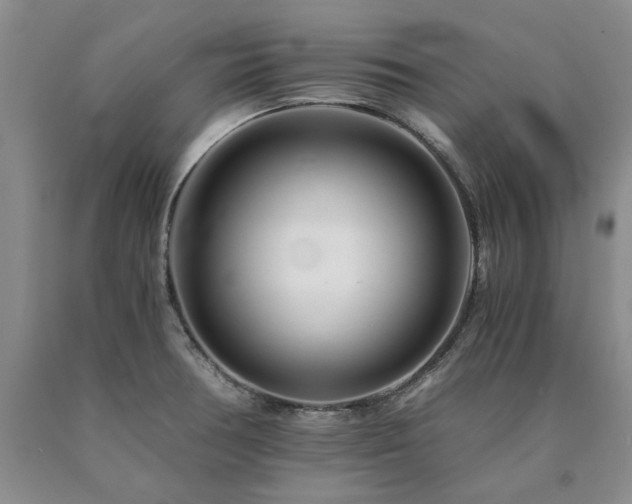 X0000090881378200707271302