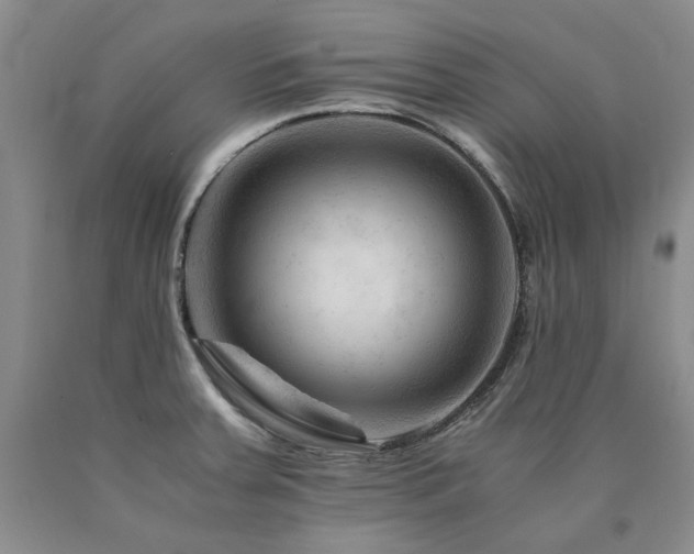 X0000090881379200707271302