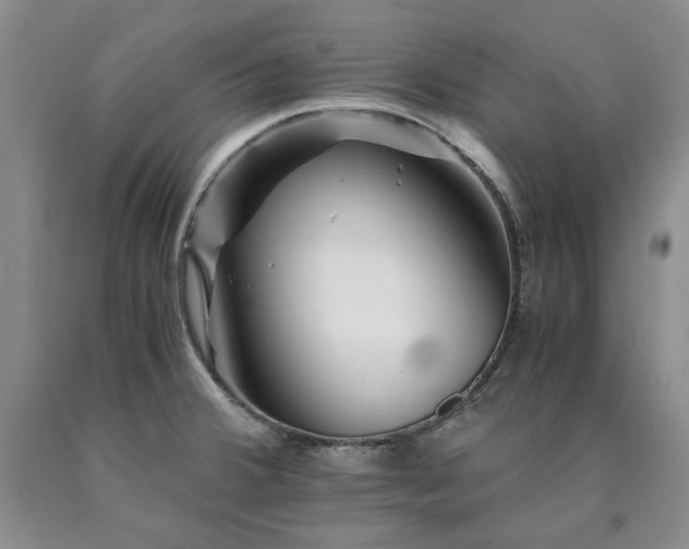 X0000090881380200707271302