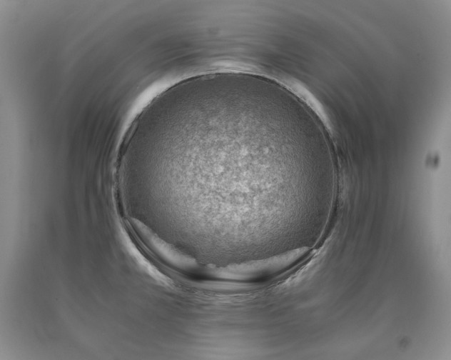 X0000090881381200707271302