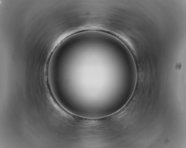 X0000090881382200707271302