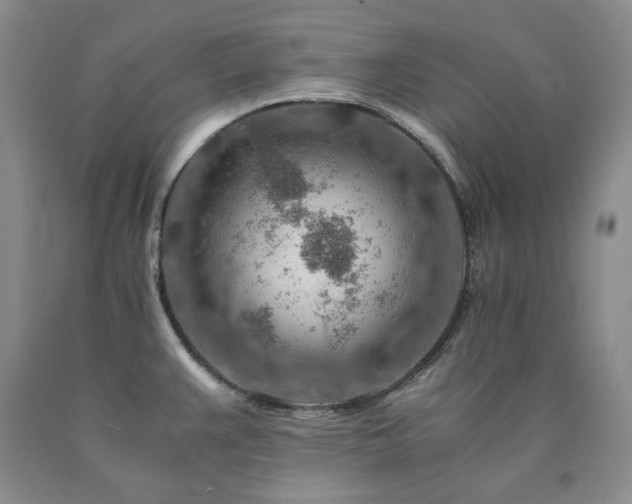 X0000090881383200707271302