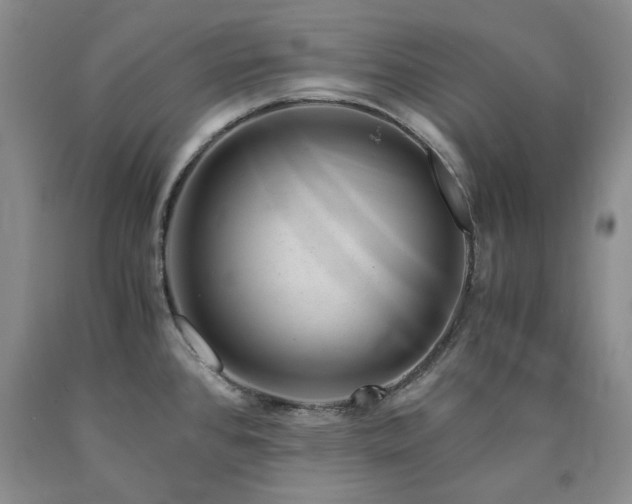 X0000090881384200707271302
