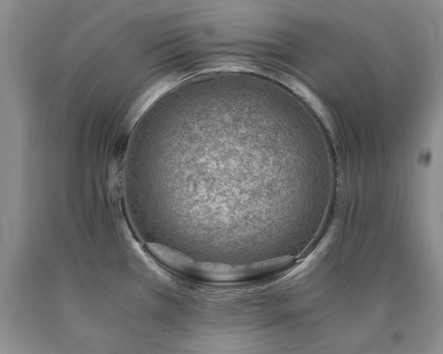 X0000090881385200707271302