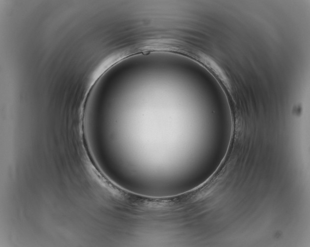 X0000090881386200707271302
