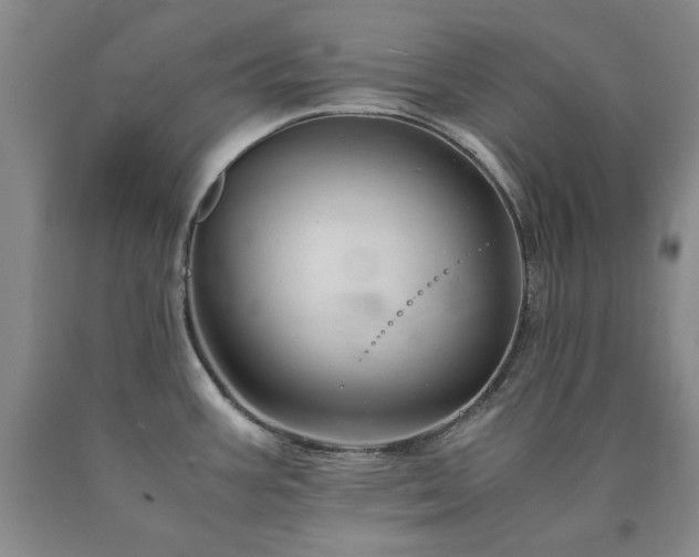 X0000090881387200707271302