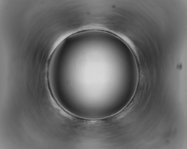 X0000090881390200707271302