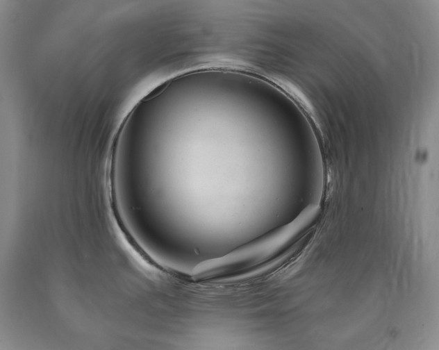 X0000090881391200707271302