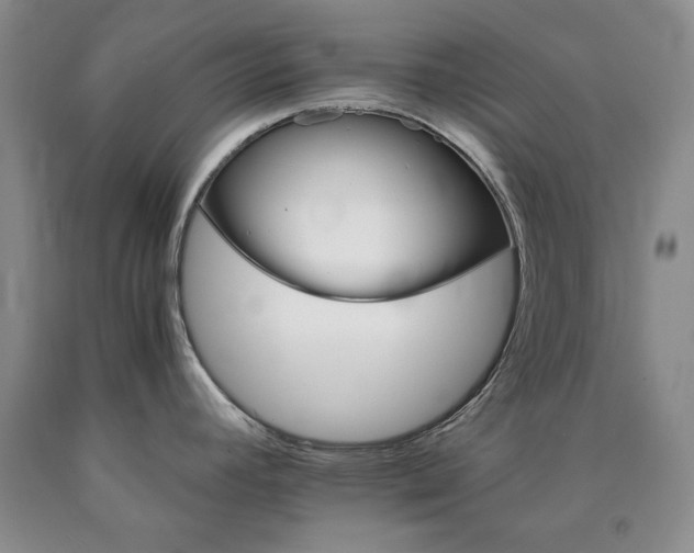 X0000090881392200707271302