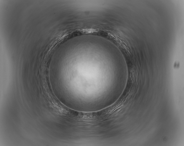 X0000090881393200707271301