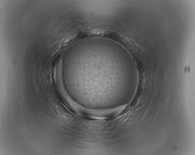 X0000090881394200707271301