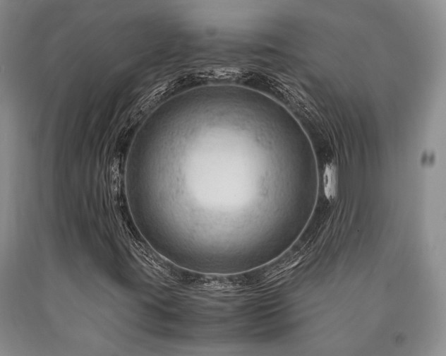 X0000090881395200707271301