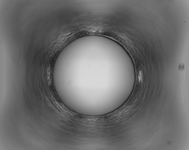 X0000090881396200707271301