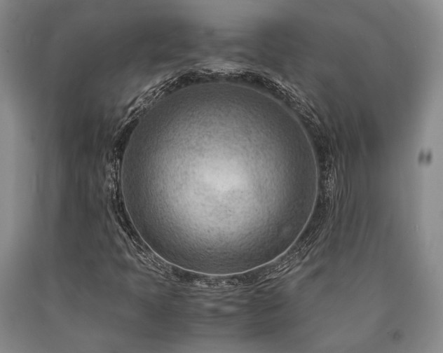 X0000090881397200707271301