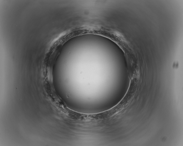 X0000090881398200707271301