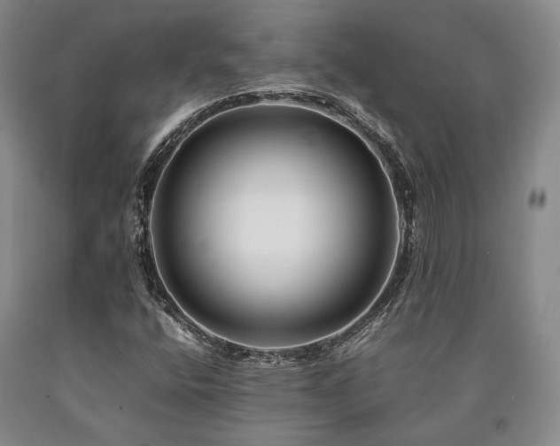 X0000090881400200707271302