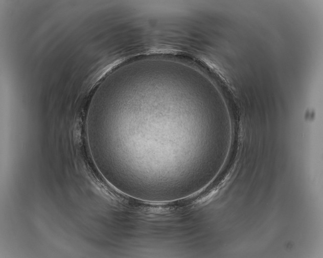 X0000090881401200707271302