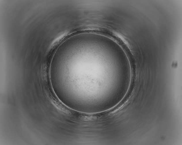 X0000090881403200707271302