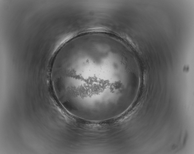 X0000090881405200707271302