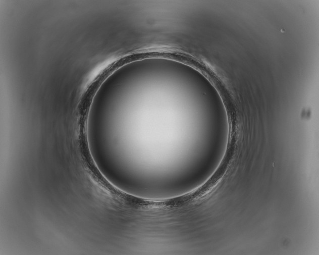 X0000090881406200707271302