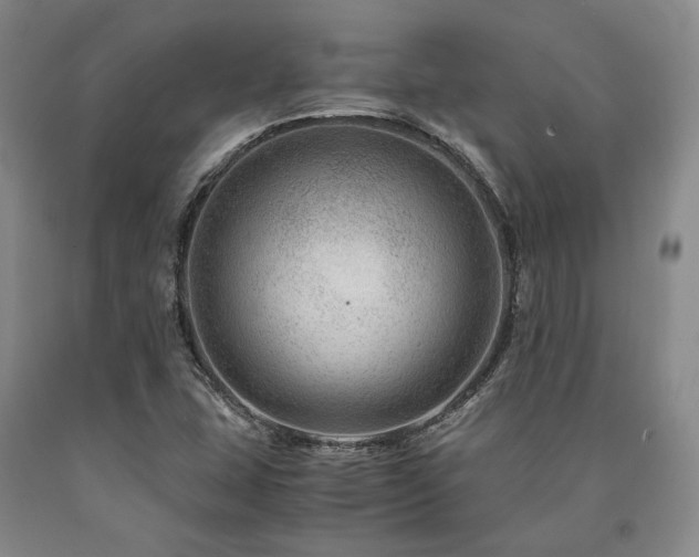 X0000090881407200707271302