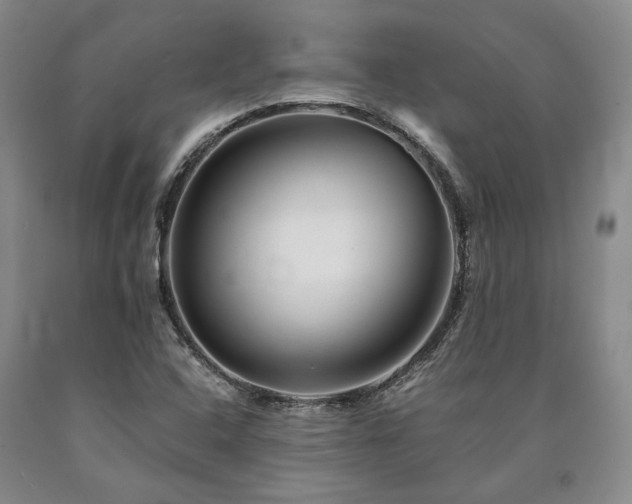 X0000090881408200707271302