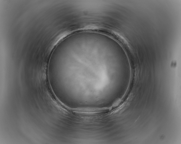 X0000090881409200707271302