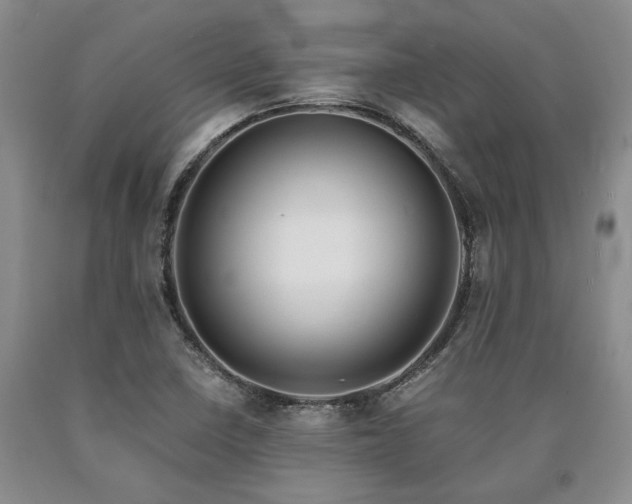 X0000090881410200707271302