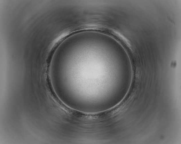 X0000090881411200707271302