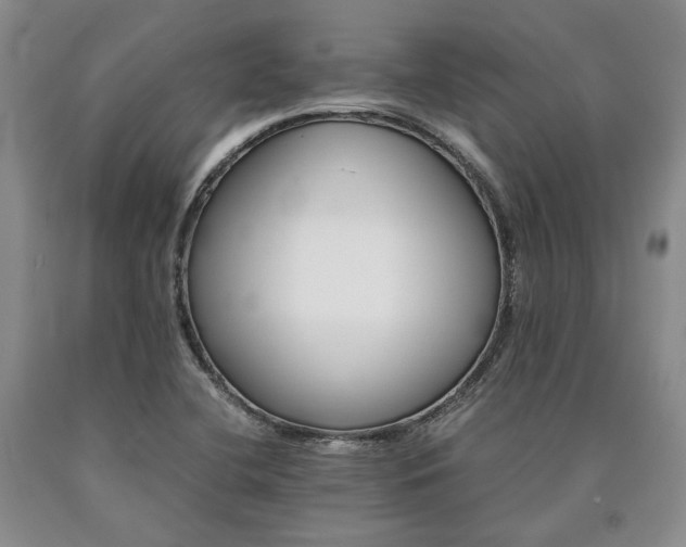 X0000090881412200707271302