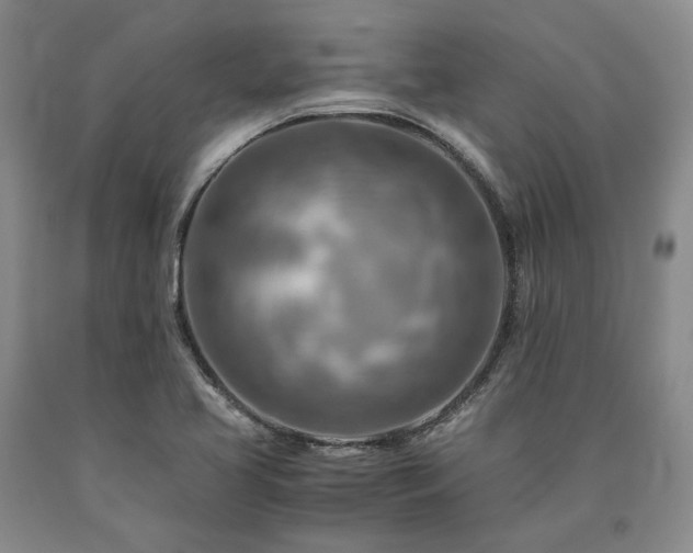 X0000090881413200707271302