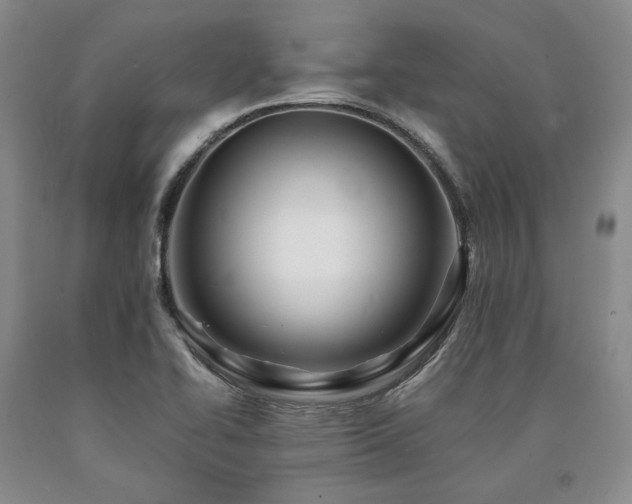 X0000090881414200707271302
