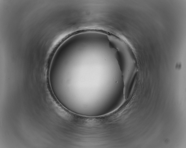 X0000090881416200707271302