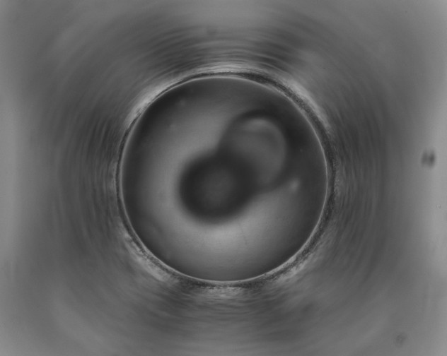X0000090881417200707271302