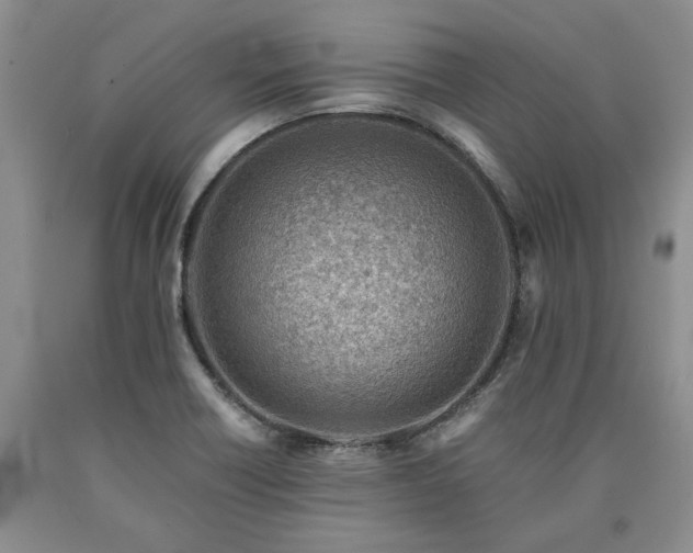 X0000090881418200707271302
