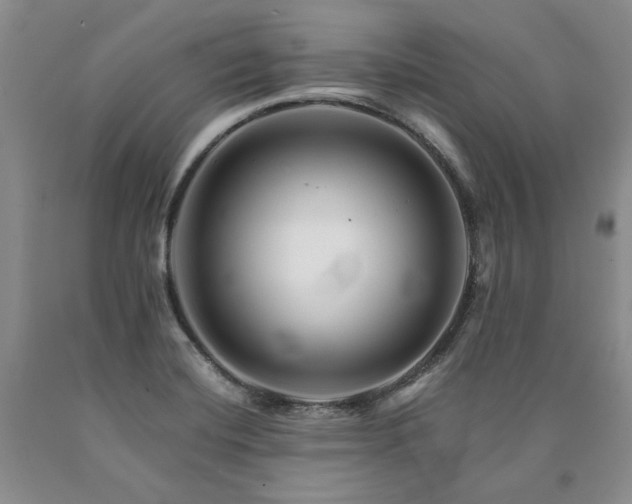 X0000090881420200707271302