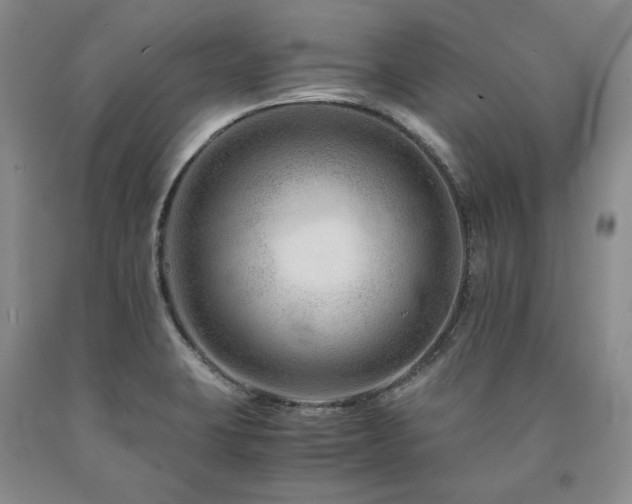 X0000090881423200707271302