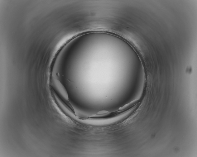 X0000090881424200707271302