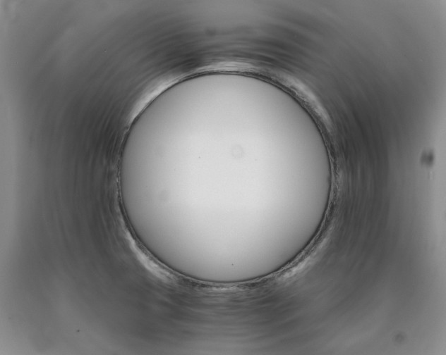 X0000090881425200707271302