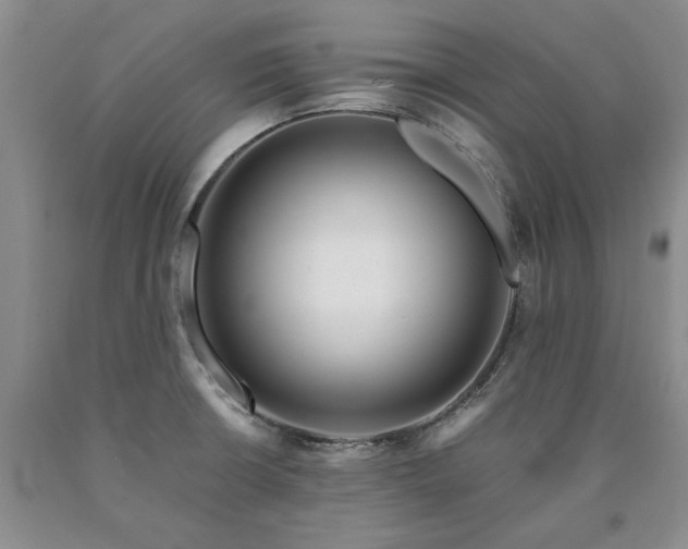 X0000090881426200707271302
