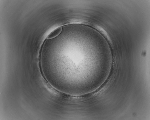 X0000090881427200707271302