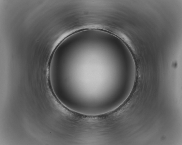 X0000090881428200707271302