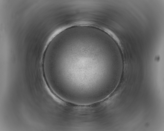 X0000090881429200707271302