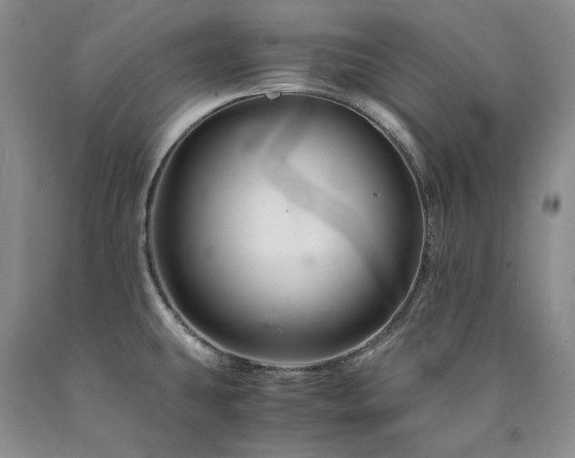 X0000090881431200707271302